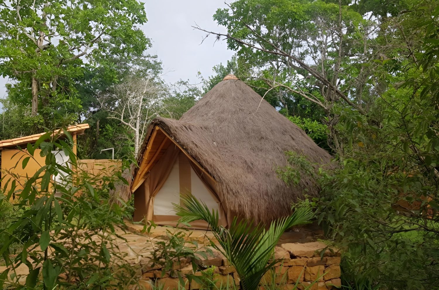 Nativo-glamping-2